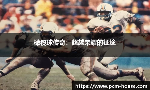 橄榄球传奇：超越荣耀的征途