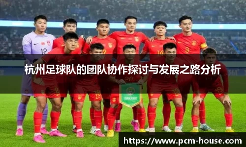 杭州足球队的团队协作探讨与发展之路分析