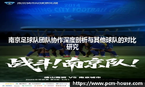 南京足球队团队协作深度剖析与其他球队的对比研究
